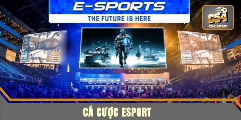 Chi tiết về các loại game thể thao điện tử 